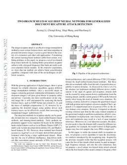 Two-branch Multi-scale Deep Neural Network for Generalized Document
  Recapture Attack Detection