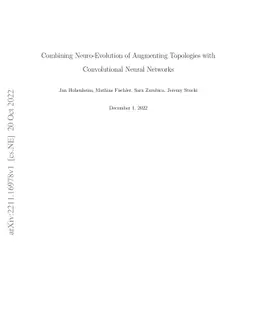 Combining Neuro-Evolution of Augmenting Topologies with Convolutional
  Neural Networks