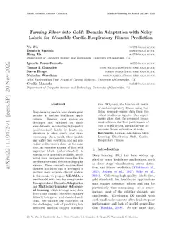 Turning Silver into Gold: Domain Adaptation with Noisy Labels for
  Wearable Cardio-Respiratory Fitness Prediction