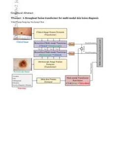 TFormer: A throughout fusion transformer for multi-modal skin lesion
  diagnosis