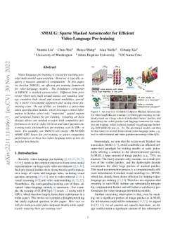 SMAUG: Sparse Masked Autoencoder for Efficient Video-Language
  Pre-training