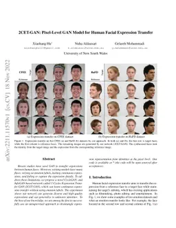 2CET-GAN: Pixel-Level GAN Model for Human Facial Expression Transfer