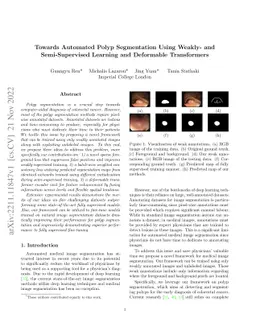 Towards Automated Polyp Segmentation Using Weakly- and Semi-Supervised
  Learning and Deformable Transformers