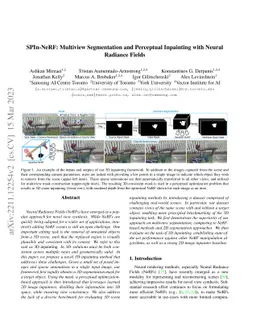 SPIn-NeRF: Multiview Segmentation and Perceptual Inpainting with Neural
  Radiance Fields