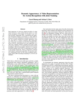 Dynamic Appearance: A Video Representation for Action Recognition with
  Joint Training