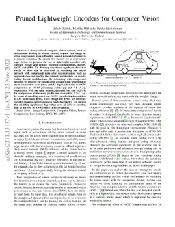 Pruned Lightweight Encoders for Computer Vision