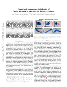 Control and Morphology Optimization of Passive Asymmetric Structures for
  Robotic Swimming