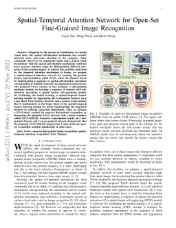 Spatial-Temporal Attention Network for Open-Set Fine-Grained Image
  Recognition