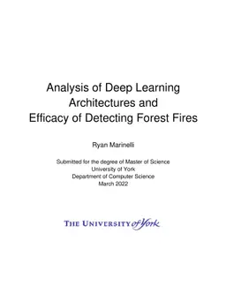 Analysis of Deep Learning Architectures and Efficacy of Detecting Forest
  Fires