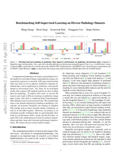 Benchmarking Self-Supervised Learning on Diverse Pathology Datasets