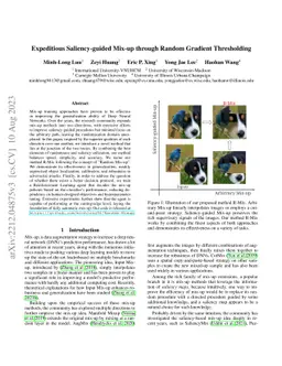 Expeditious Saliency-guided Mix-up through Random Gradient Thresholding