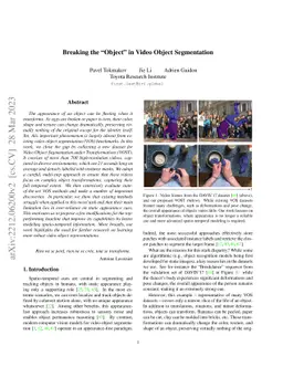 Breaking the "Object" in Video Object Segmentation