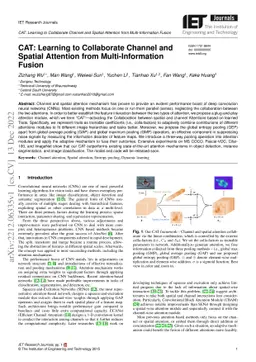 CAT: Learning to Collaborate Channel and Spatial Attention from
  Multi-Information Fusion