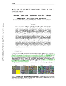 What do Vision Transformers Learn? A Visual Exploration