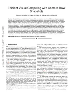Efficient Visual Computing with Camera RAW Snapshots