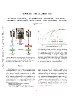 FlexiViT: One Model for All Patch Sizes