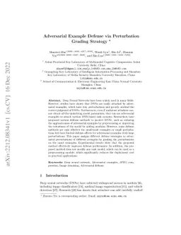 Adversarial Example Defense via Perturbation Grading Strategy