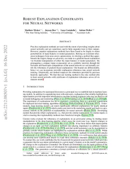 Robust Explanation Constraints for Neural Networks