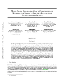 Multi-Scale Relational Graph Convolutional Network for Multiple Instance
  Learning in Histopathology Images