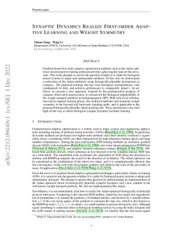 Synaptic Dynamics Realize First-order Adaptive Learning and Weight
  Symmetry