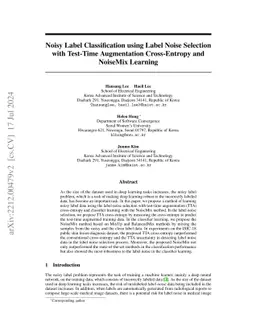 Noisy Label Classification using Label Noise Selection with Test-Time
  Augmentation Cross-Entropy and NoiseMix Learning