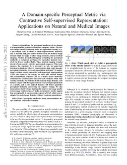 A Domain-specific Perceptual Metric via Contrastive Self-supervised
  Representation: Applications on Natural and Medical Images