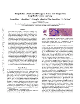 RLogist: Fast Observation Strategy on Whole-slide Images with Deep
  Reinforcement Learning