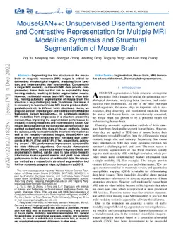 MouseGAN++: Unsupervised Disentanglement and Contrastive Representation
  for Multiple MRI Modalities Synthesis and Structural Segmentation of Mouse
  Brain