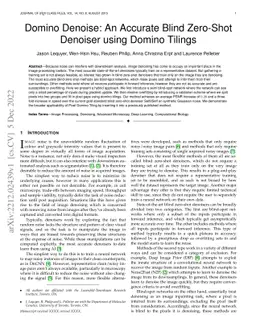 Domino Denoise: An Accurate Blind Zero-Shot Denoiser using Domino
  Tilings