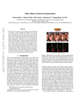 Video Object of Interest Segmentation