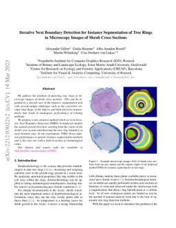 Iterative Next Boundary Detection for Instance Segmentation of Tree
  Rings in Microscopy Images of Shrub Cross Sections