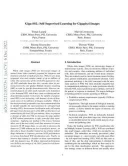 Giga-SSL: Self-Supervised Learning for Gigapixel Images