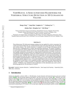 VertMatch: A Semi-supervised Framework for Vertebral Structure Detection
  in 3D Ultrasound Volume