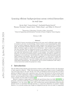 Learning efficient backprojections across cortical hierarchies in real
  time