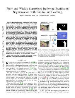 Fully and Weakly Supervised Referring Expression Segmentation with
  End-to-End Learning