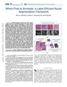 Which Pixel to Annotate: a Label-Efficient Nuclei Segmentation Framework