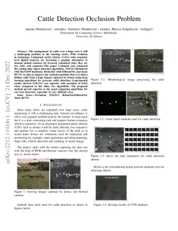 Cattle Detection Occlusion Problem