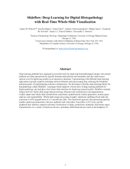 Slideflow: Deep Learning for Digital Histopathology with Real-Time
  Whole-Slide Visualization