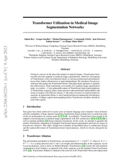 Transformer Utilization in Medical Image Segmentation Networks