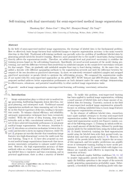 Self-training with dual uncertainty for semi-supervised medical image
  segmentation