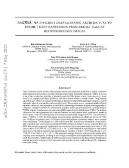 hist2RNA: An efficient deep learning architecture to predict gene
  expression from breast cancer histopathology images