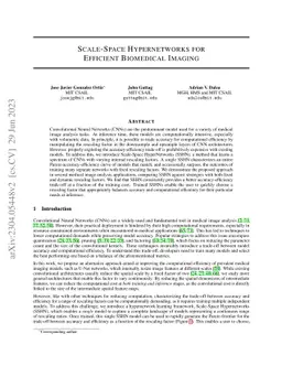 Scale-Space Hypernetworks for Efficient Biomedical Imaging