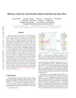 RIFormer: Keep Your Vision Backbone Effective While Removing Token Mixer