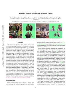 Adaptive Human Matting for Dynamic Videos