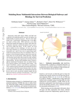 Modeling Dense Multimodal Interactions Between Biological Pathways and
  Histology for Survival Prediction