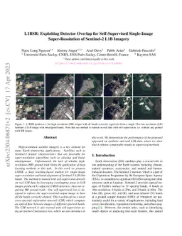 L1BSR: Exploiting Detector Overlap for Self-Supervised Single-Image
  Super-Resolution of Sentinel-2 L1B Imagery