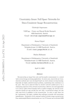 Uncertainty-Aware Null Space Networks for Data-Consistent Image
  Reconstruction