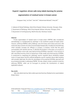 Experts' cognition-driven safe noisy labels learning for precise segmentation of residual tumor in breast cancer
