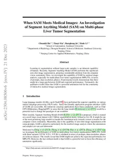 When SAM Meets Medical Images: An Investigation of Segment Anything
  Model (SAM) on Multi-phase Liver Tumor Segmentation