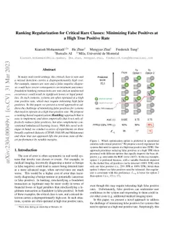 Ranking Regularization for Critical Rare Classes: Minimizing False
  Positives at a High True Positive Rate